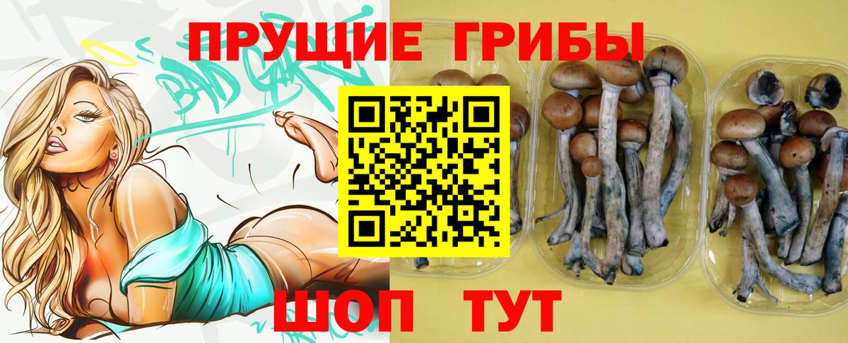 Псилоцибиновые грибы мухоморы Сибай